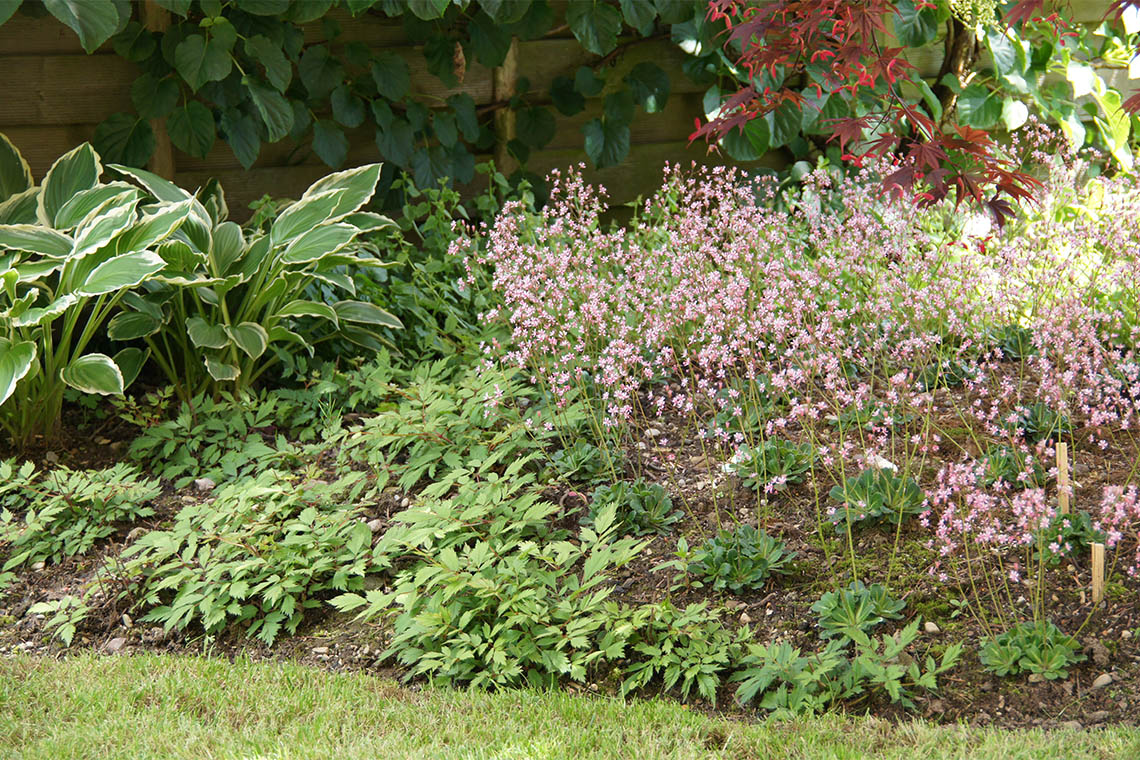 Vielfältige Gartengestaltung | Gartenstil
